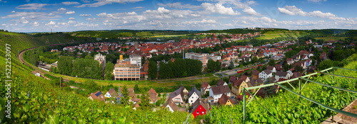 Besigheim Panorama 