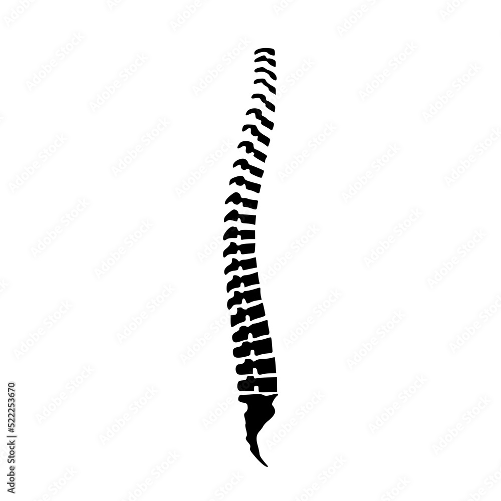 Human spine icon isolated on white background Human spine icon isolated on white background