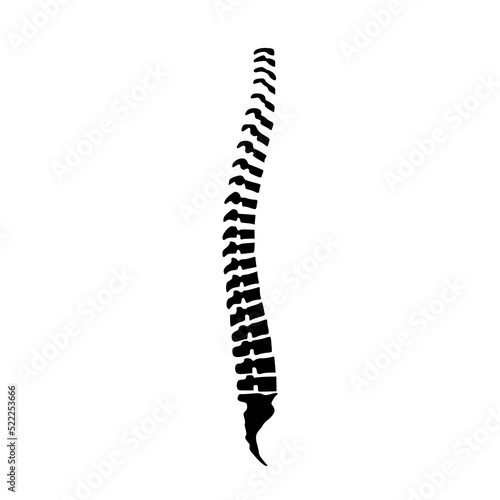 Human spine icon isolated on white background