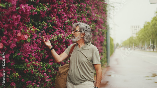 Friendly middle aged man with gray hair and beard wearing casual clothes, wall with purple flowers blooming in the background. Mature gentleman in eyeglasses looking at flowers