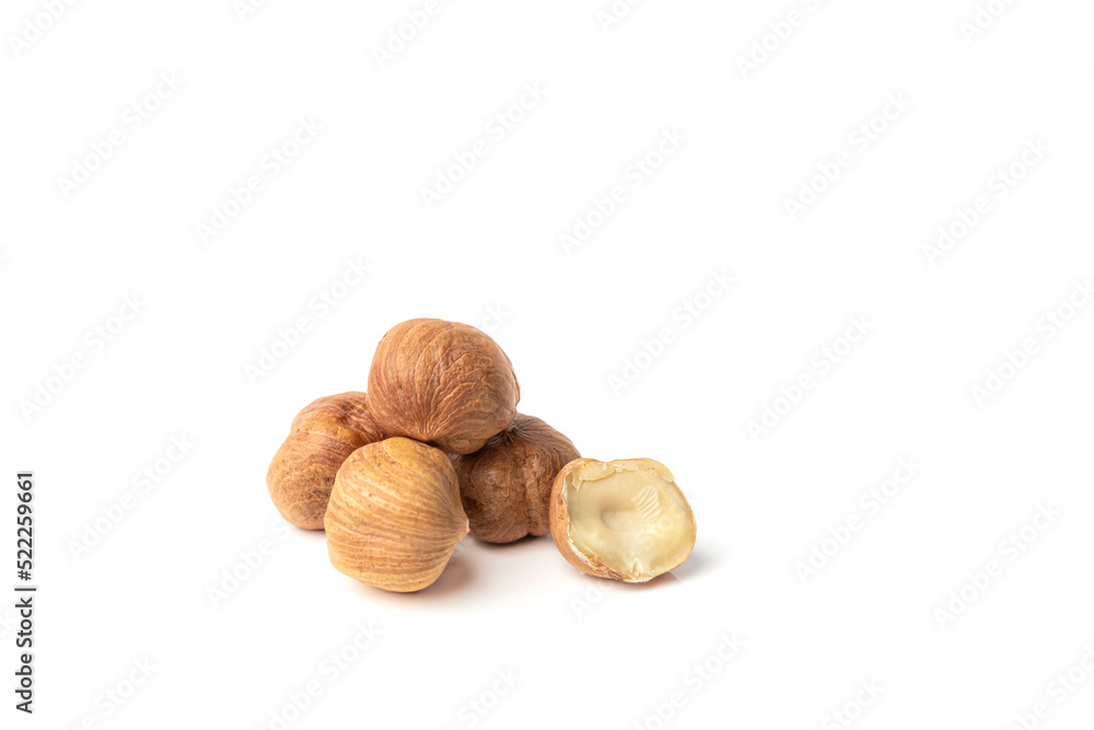 Filbert. Hazelnut isolated on white background. Copy space. Filbert. Hazelnut isolated on white background. Copy space.