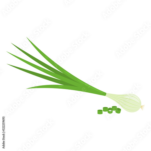 Spring onions or scallions isolated on white background. Chopped fresh green onions. Healthy organic food concept. Vector vegetables illustration in flat style.