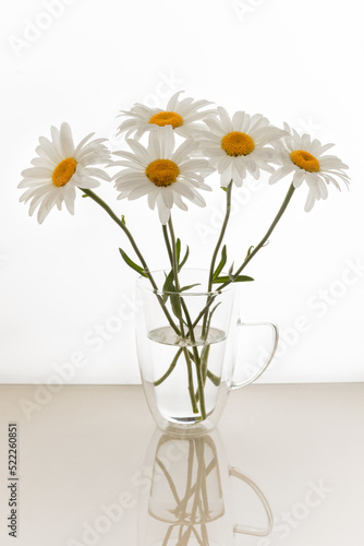 Still life with a beautiful bouquet of white chamomile flowers, a bouquet of white daisies in a vase on the table, flowers in the interior, a bouquet for mother's day, birthday © Leka