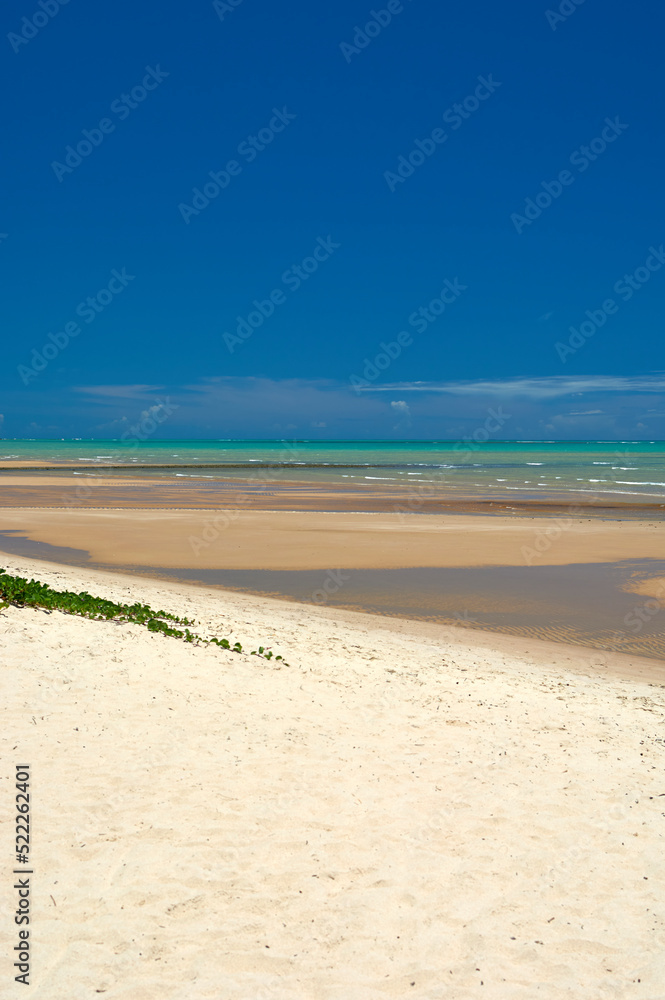 Praia de Cumuruxatiba, Bahia