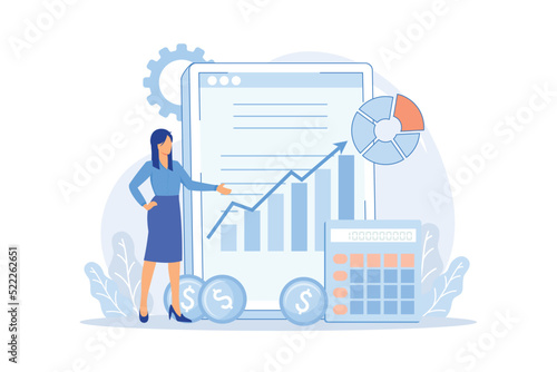 Financial management system Control system, open source software, business management tool, financial information, corporate budget planning flat design modern illustration
