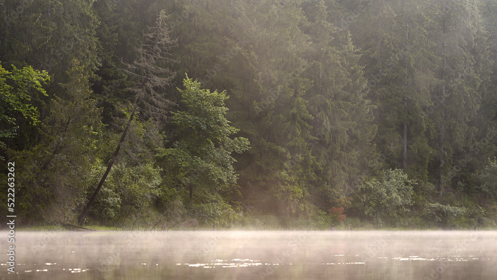 The calm of an autumn morning. Lake Lithuania early morning fog rising. Photographed from a low perspective. Lily leaves, beautiful morning.