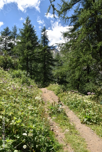 sentiero di montagna in val Formazza, Piemote, Italia mountain path, Formazza valley, Piedmont, Italy 
