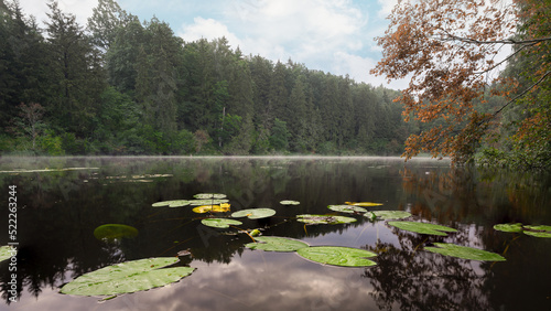Obraz na płótnie Wonderful photo of the lake, morning fog, calm. Meditation in nature. Beautiful scenery, steaming lake water, mystical view. Amazing place on earth. Forest and lake plants. Travel europe nature. w salonie