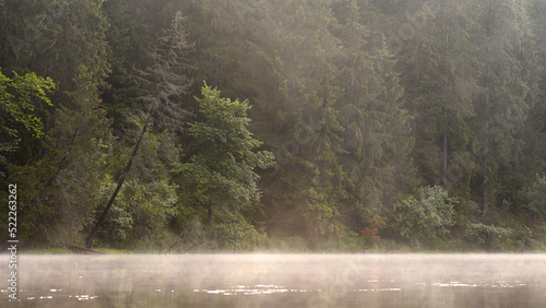 Obraz na płótnie The calm of an autumn morning. Lake Lithuania early morning fog rising. Photographed from a low perspective. Lily leaves, beautiful morning. w salonie