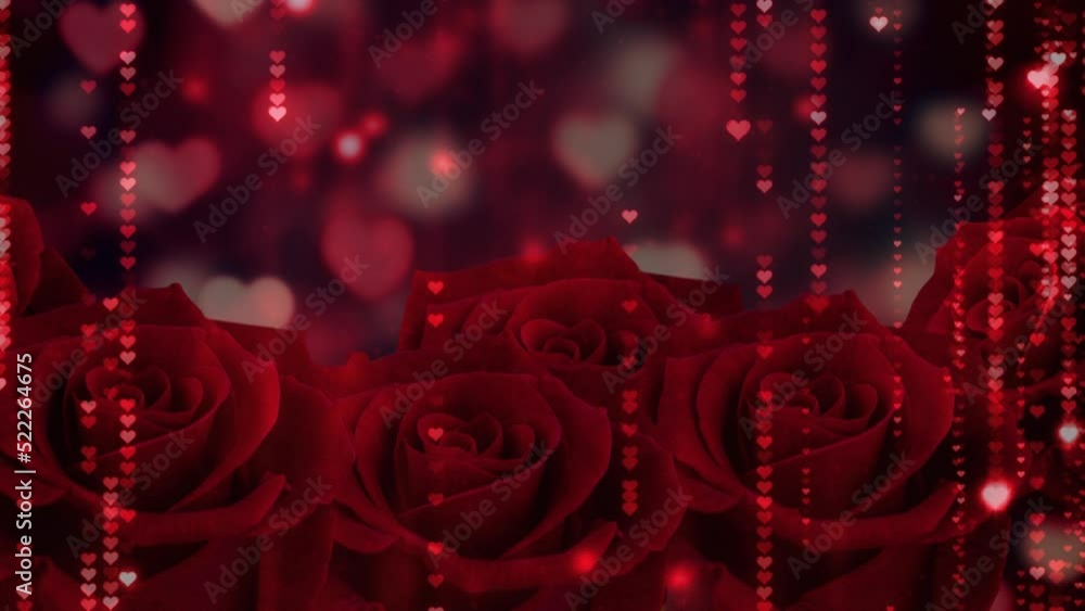 Animation of heart icons falling over roses Animation of heart icons falling over roses