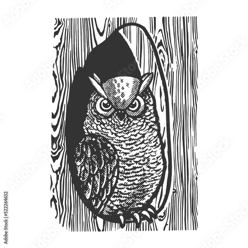 owl in the hollow of a tree sketch halftone pattern vector illustration. Scratch board imitation. Black and white hand drawn image.