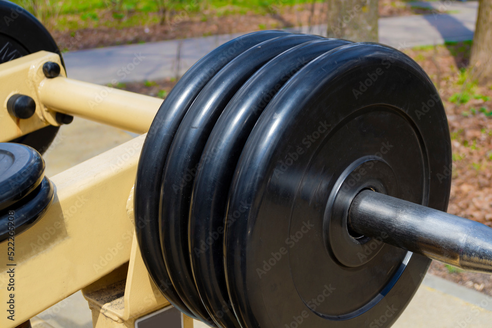 We go in for sports in the fresh air, we train, healthy lifestyle, bodybuilding, muscles. Trainers in the park. Trees in the background. Free weight discs. body care