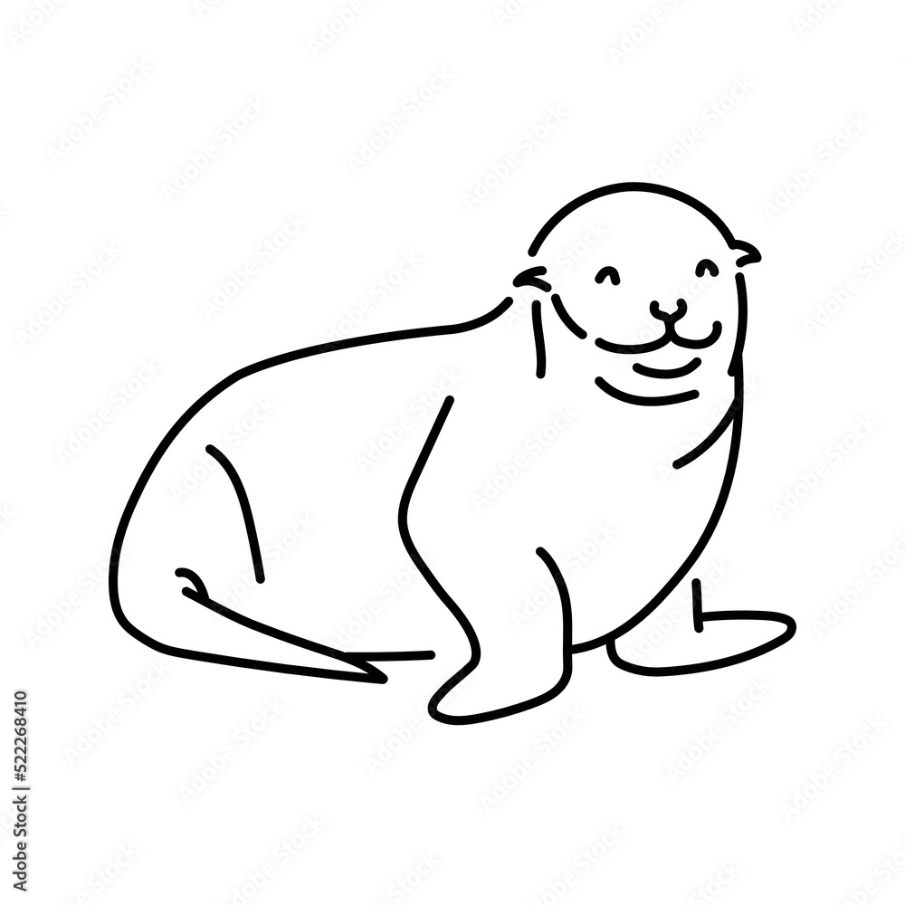 Seal color line illustration. Marine mammals. Seal color line illustration. Marine mammals.