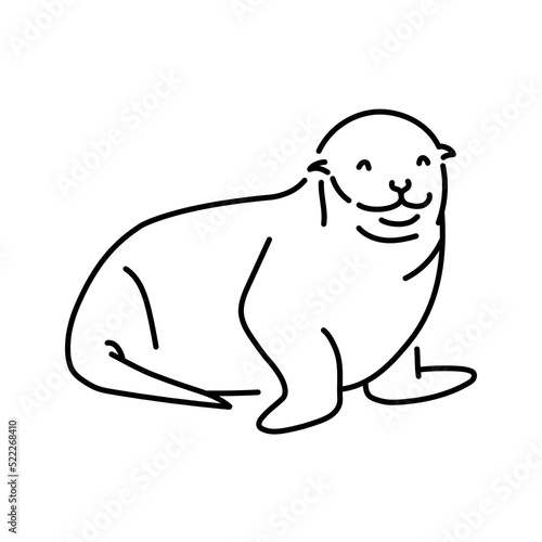 Seal color line illustration. Marine mammals.
