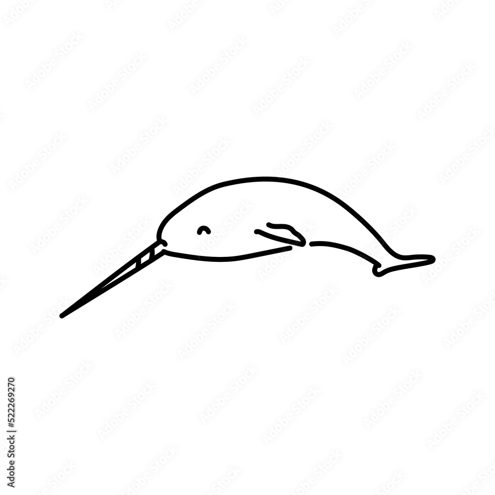 Narwhal color line illustration. Marine mammals. Narwhal color line illustration. Marine mammals.