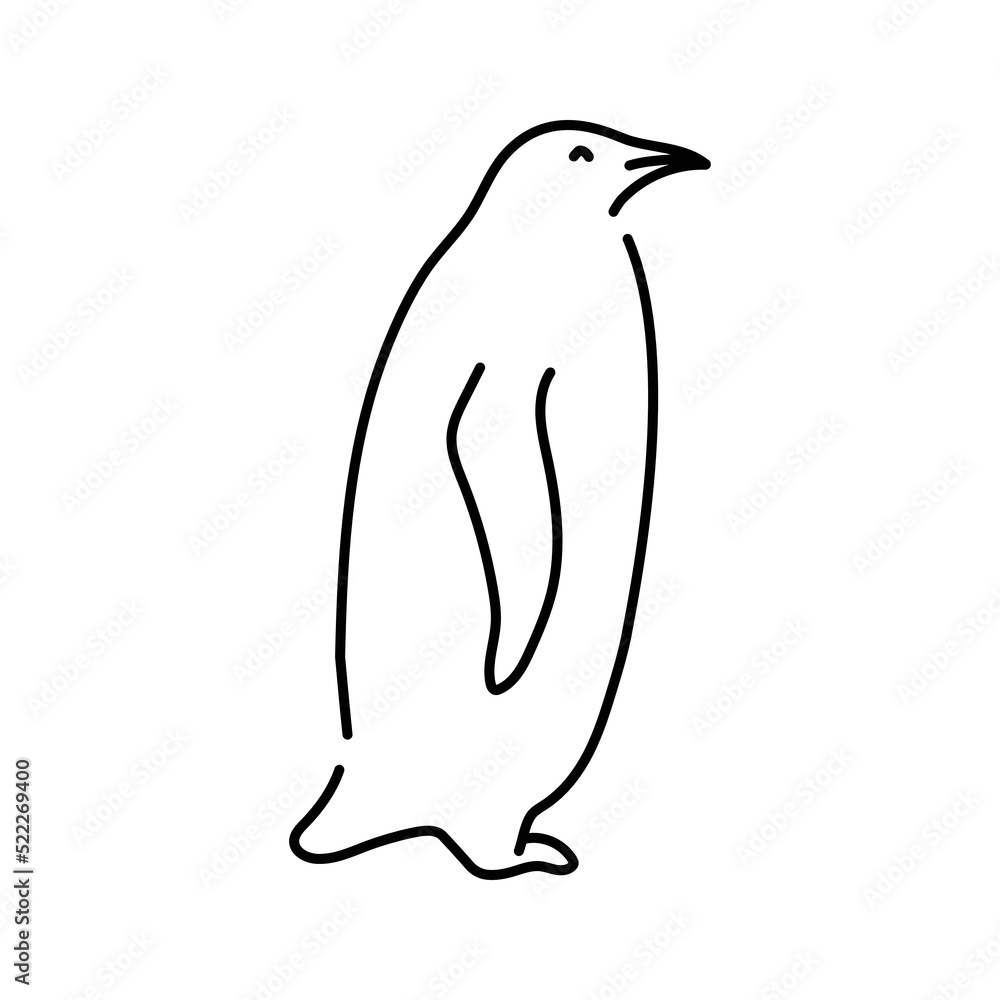 Obraz premium Penguin color line illustration. Marine mammals.