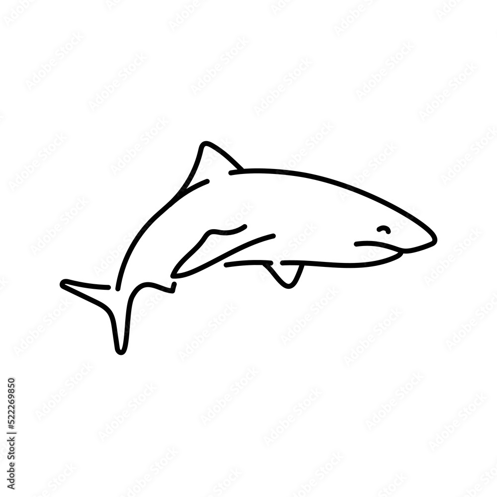 Shark color line illustration. Marine mammals. Shark color line illustration. Marine mammals.