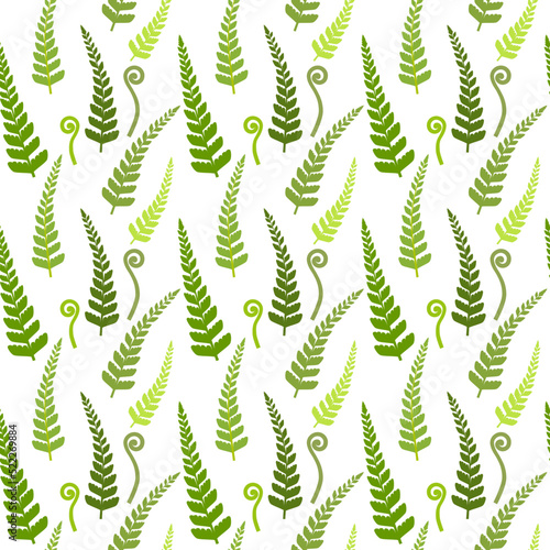 Seamless pattern of green fern leaves on white background