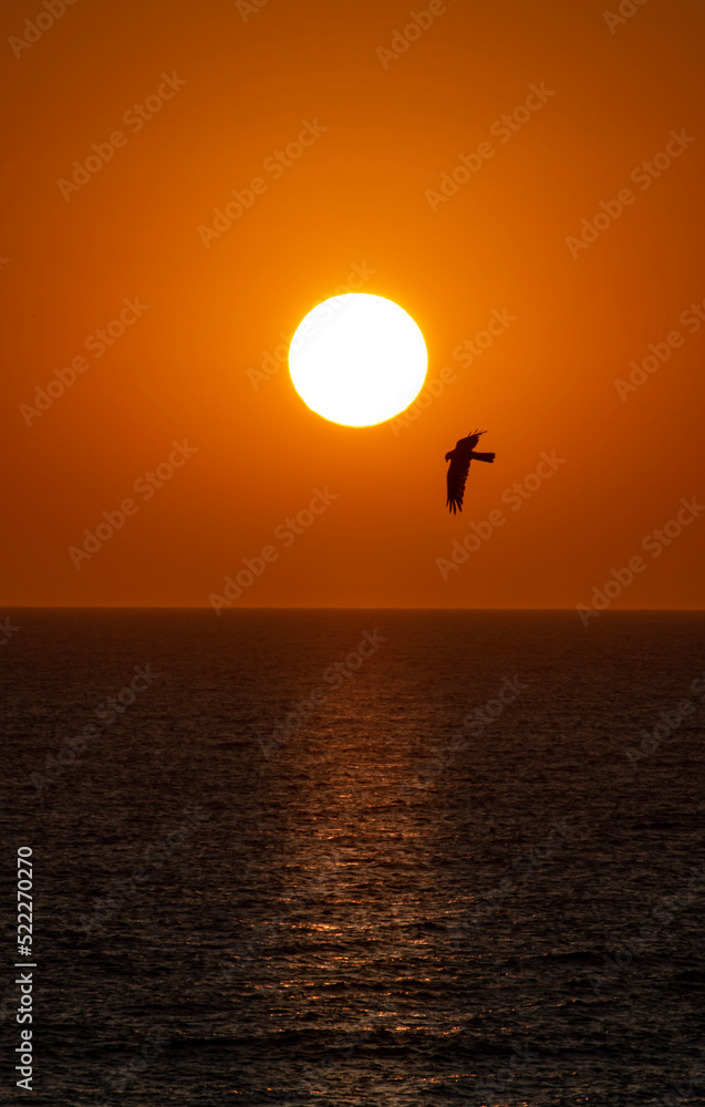 Photo of Sun landscape at dawn Photo of Sun landscape at dawn