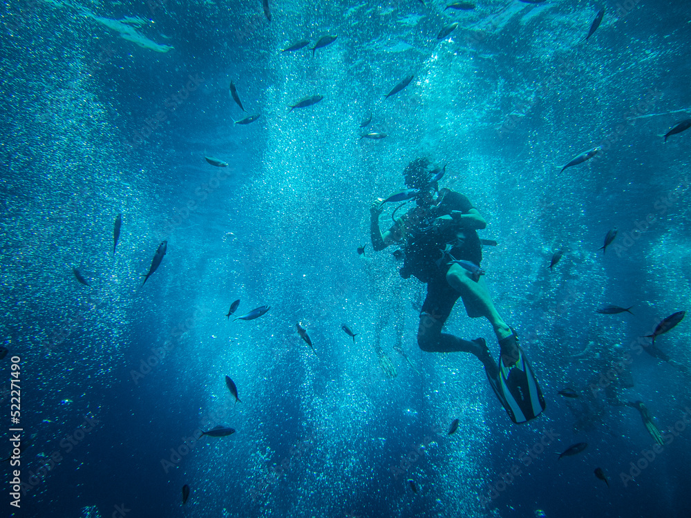 Fototapeta premium Plongée sous marine, plongeur et petits poisson