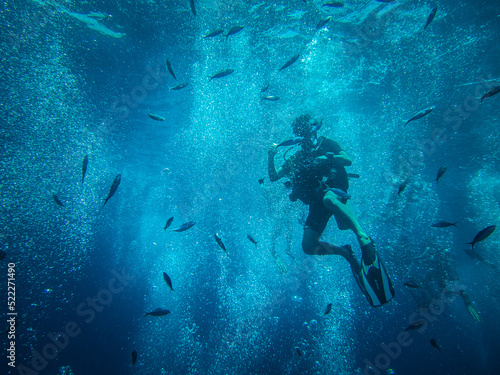Plongée sous marine, plongeur et petits poisson
