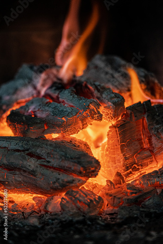 woods on fire, ashes 