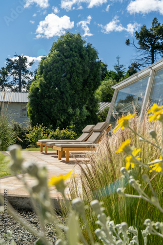 garden in the garden