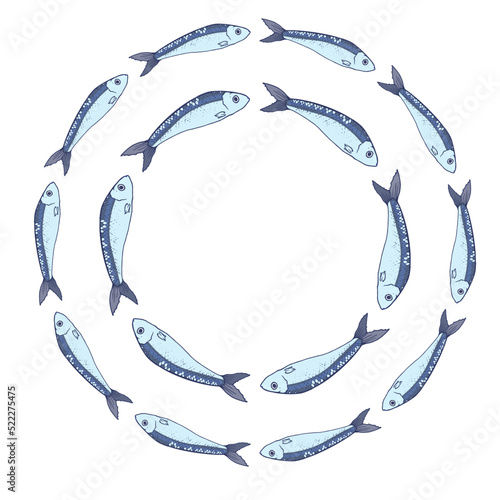 Vector round pattern of blue sardines. hand-drawn sketch of a small sprat fish in blue-gray color with a blue outline, side view in a circle, seafood on white for a design template