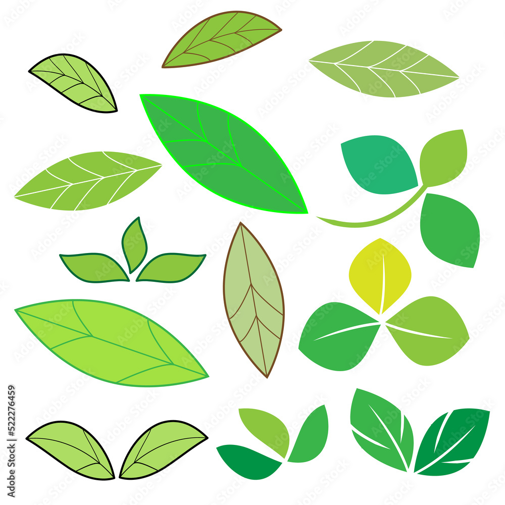 Naklejka premium Set of green leaves icons on a white background