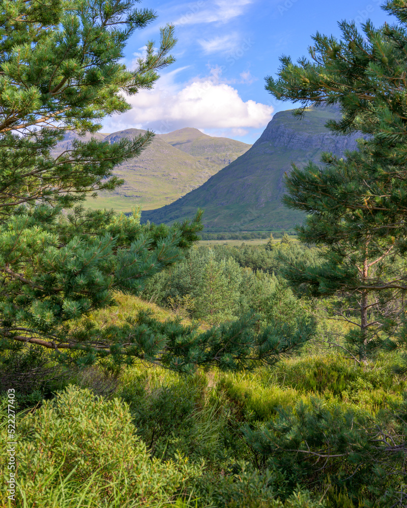 Pines and hills of the Scottish Highlands