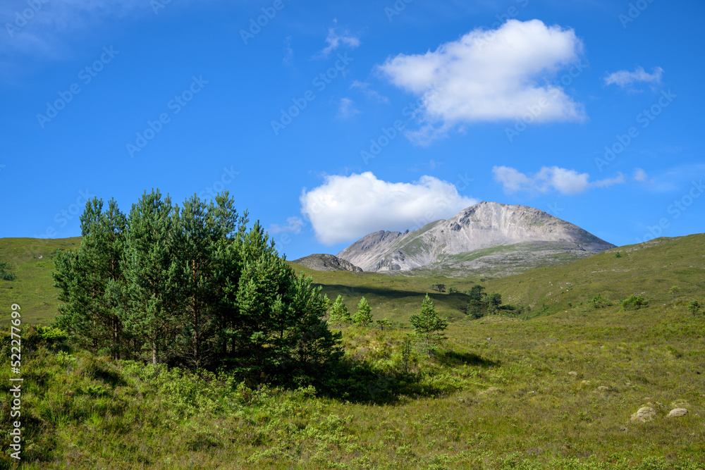 Beinn Eighe, Achnasheen with trees in the foreground