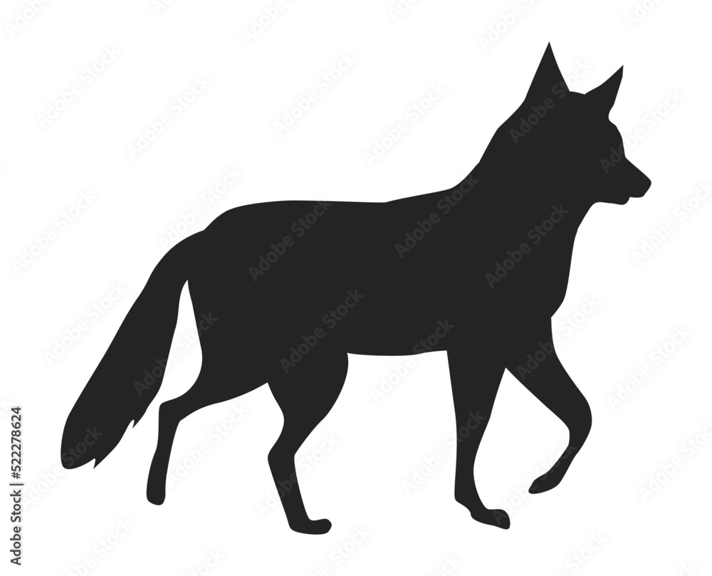 wolf animal wild silhouette