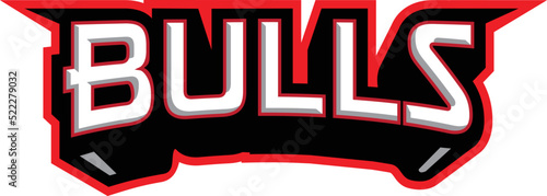 Bulls Logo