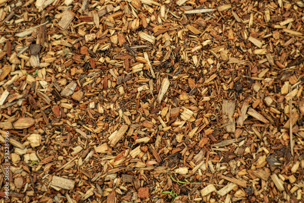 Wooden shavings chips, natural material background pattern Wooden shavings chips, natural material background pattern