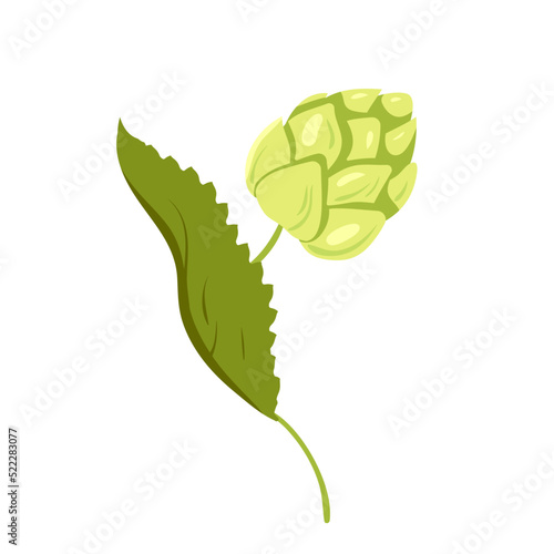 Cartoon isolated Humulus lupulus herb, green branch with fresh hop cones and leaf, organic natural malt ingredient for craft beer production in brewery