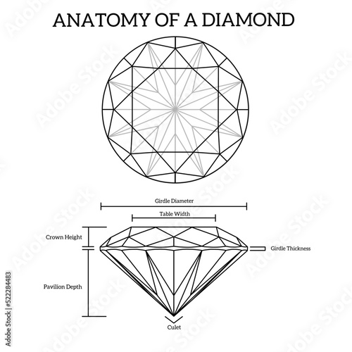 Anatomy of a diamond scheme. Brilliant shapes and naming. Vector EPS format
