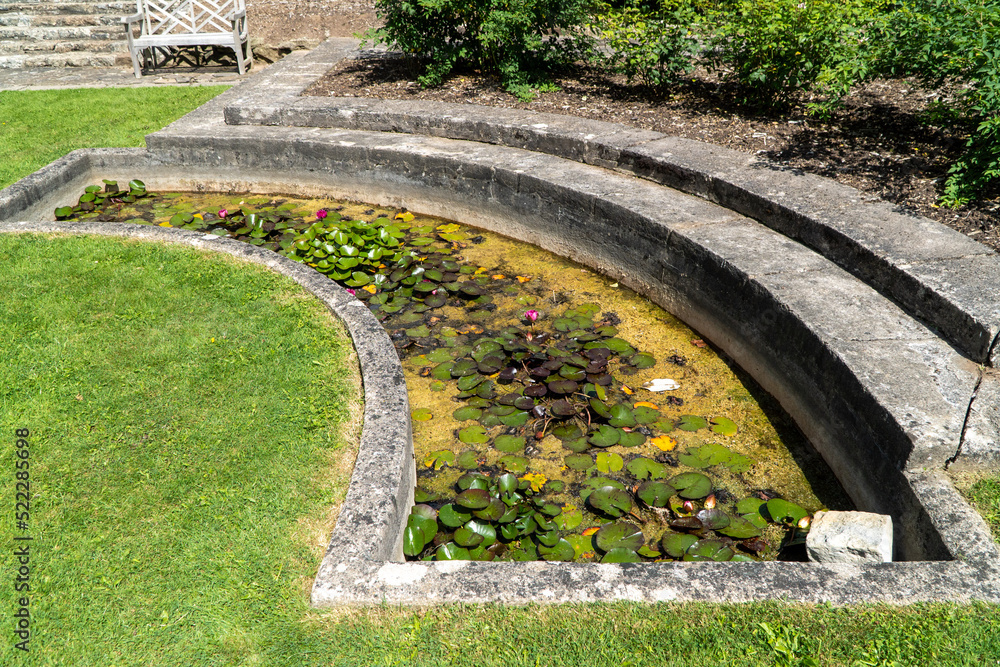 Fototapeta premium stone path in the garden