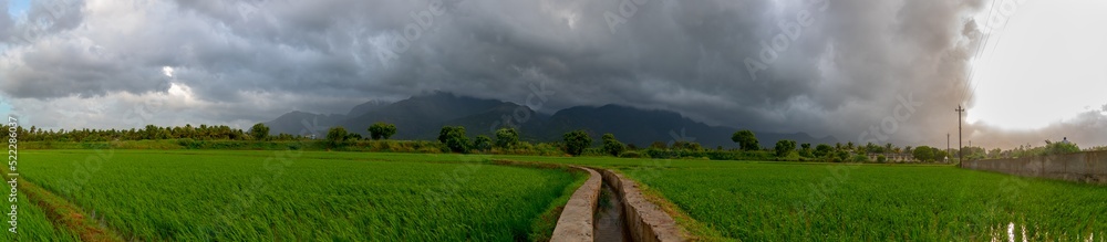 Panorama View of Most Beautiful Agricultural Rice Field Landscape in India. Western Ghat Mountains with Dark Rainy Clouds on Panoramic View.