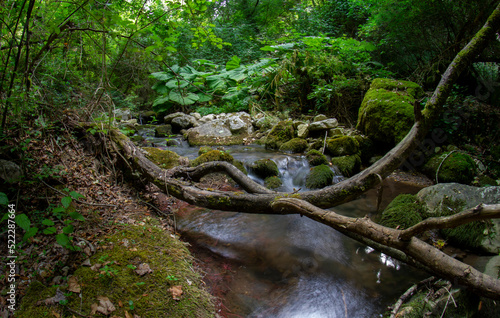 carpinone waterfall in molise italy with schioppo and carpino photo