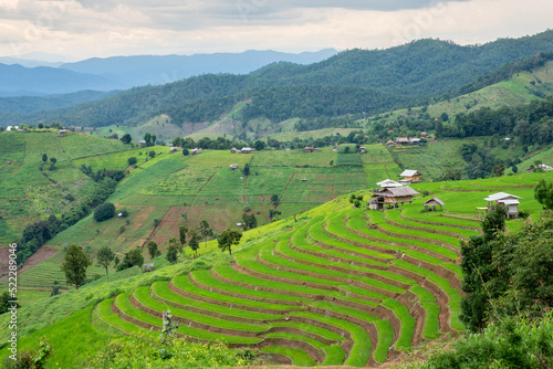 Rice terrace Pa Bong Piang Rice Terraces in Mae Chaem  Chiang Mai  Thailand.