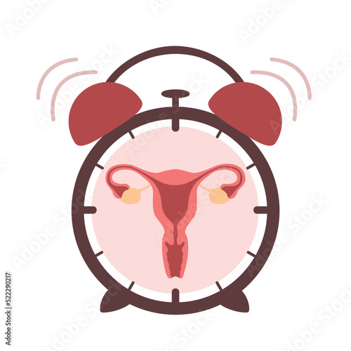 female reproductive system women uterus in the ringing alarm clock
