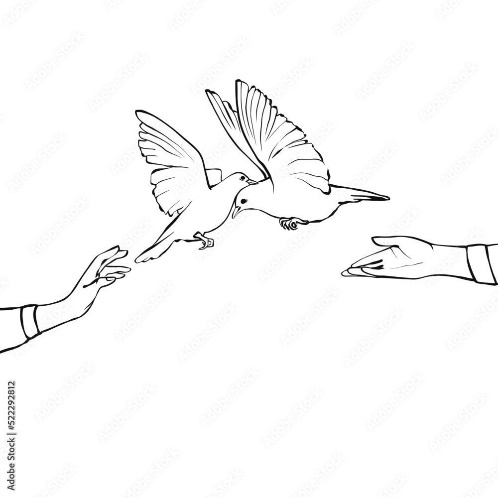 Obraz premium White dove of peace in our hands. Anti war symbol. Sign of love, hope, freedom. Hand drawn vector illustration. cartoon drawing