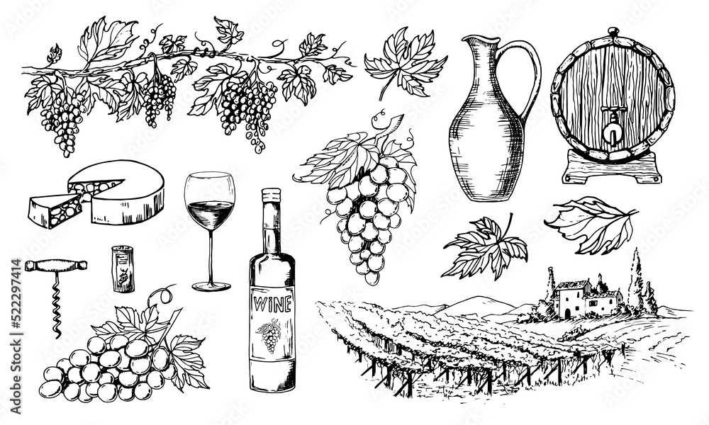 Glass Wine bottle and vine bunches. Tuscany landscape with vineyard. Hand drawn Sketch for label or bar menu. Vintage drawing of grape and oak wooden barrel. Vector illustration in engrave style - obrazy, fototapety, plakaty 
