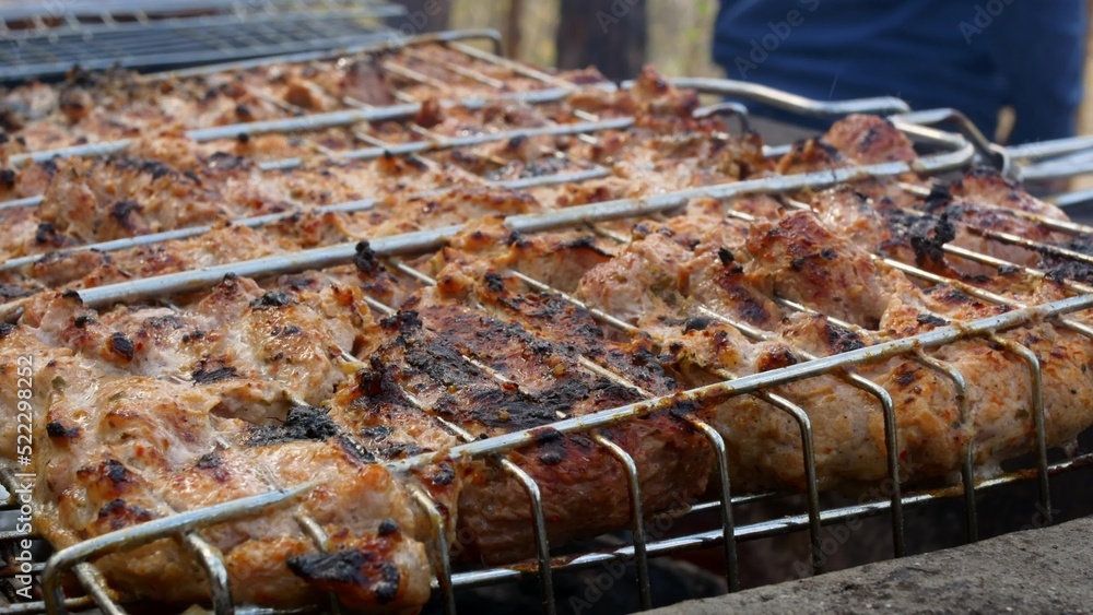 Close-up of the meat is fried on the grill. The meat is roasted on coals, the smoke impregnates the food with a delicious aroma. Picnic in the park with cooking on fire for the whole family.