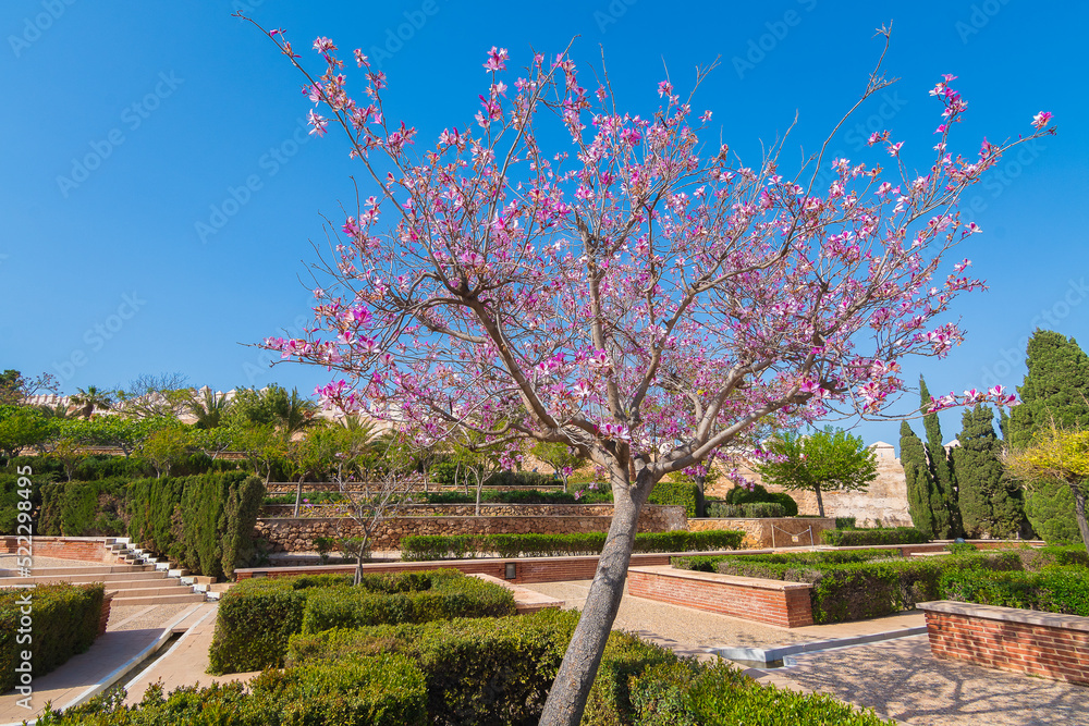 Cityscape of the Alcazaba (castle) of Almeria (Almeria, Spain)