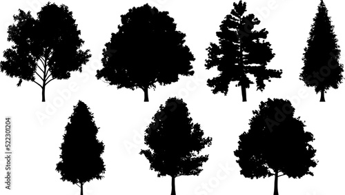 Set of tree silhouettes for the forest or park background. Cedar  oak  robinia  maple black silhouettes.