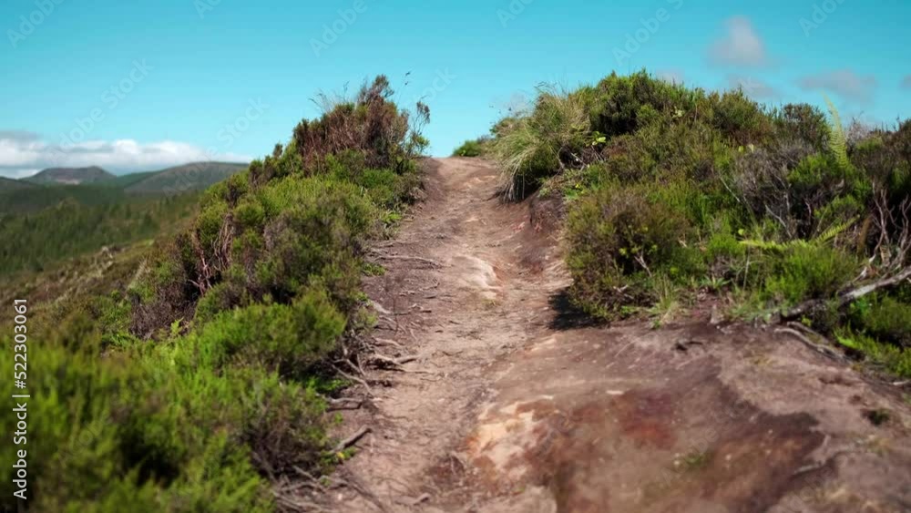 Land hiking track covered by a low camera angle, in the natural park of Fire Lake (Lagoa do Fogo) on the island of São Miguel in the Azores, Portugal, Europe Land hiking track covered by a low camera angle, in the natural park of Fire Lake (Lagoa do Fogo) on the island of São Miguel in the Azores, Portugal, Europe