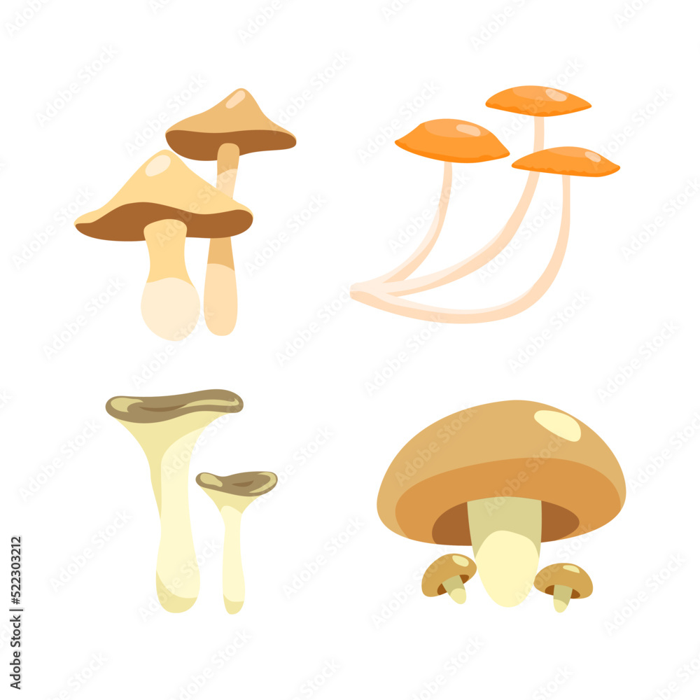Set of cute autumn illustrations of different types of mushrooms