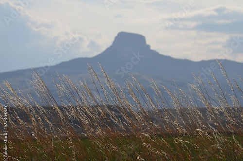  Heart Mountain and Prairie Grasses