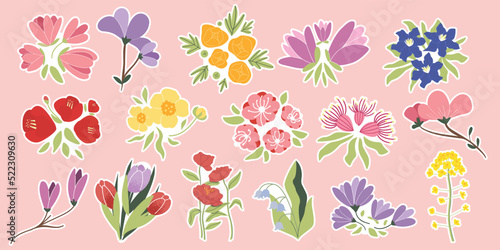 Collection different flower stickers. Blooming cute elements. Hand drawn camellia, canola, tulip, magnolia, buttercup, lily of the valley. Decorative floral cartoon design. Vector flat illustration.